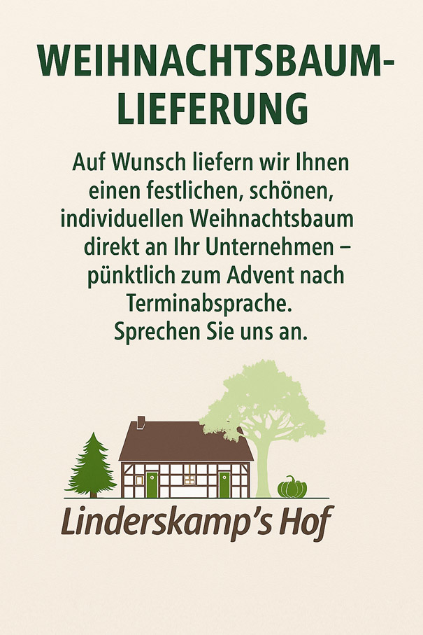 Angebot Weihnachtsbaumlieferung