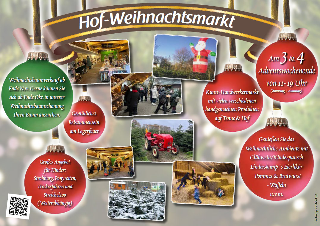Hof-Weihnachtsmarkt